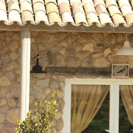 Hotelmirador Las Grullas Montmesa Esterno foto